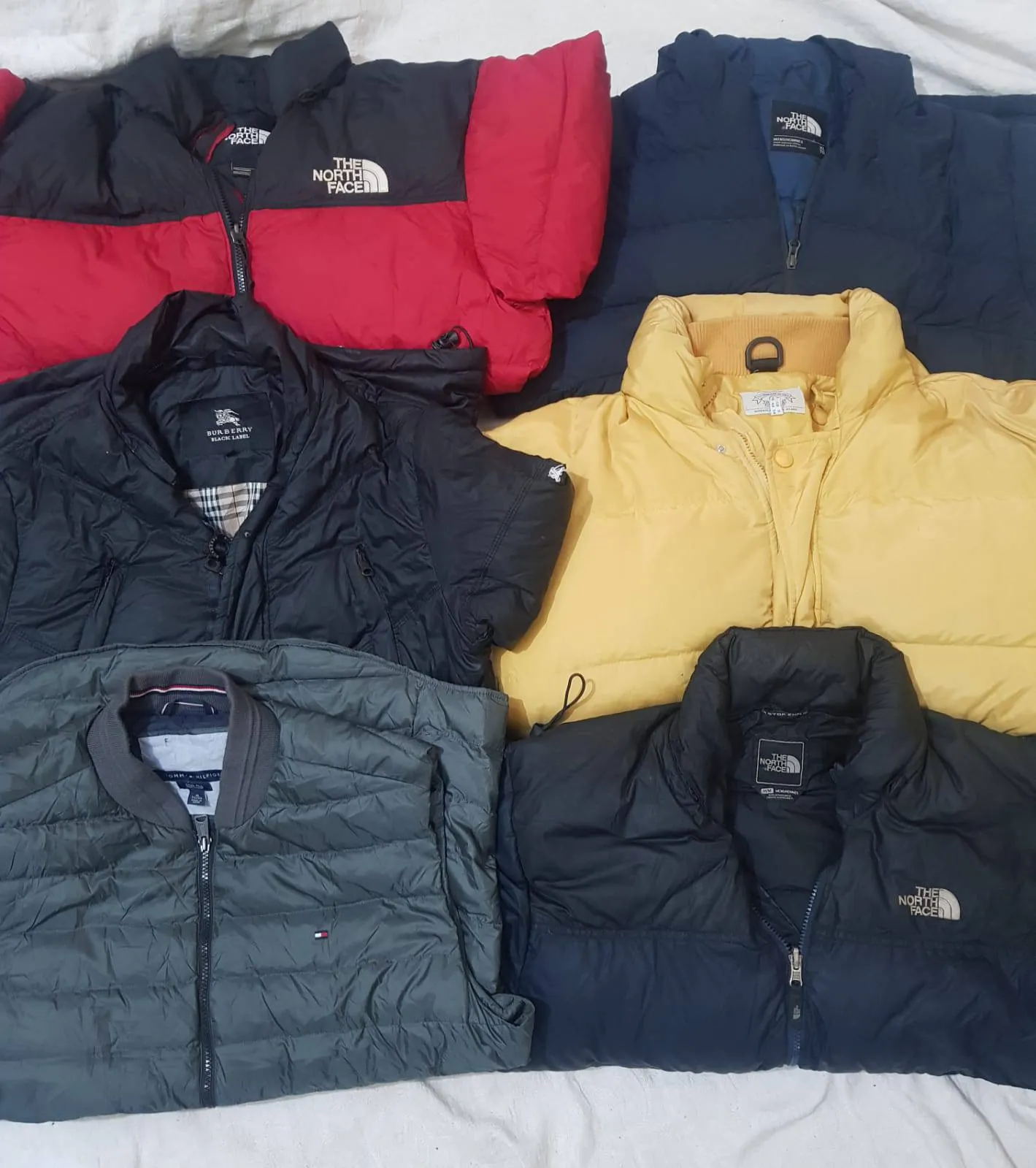Branded puffer jackets 12 pieces