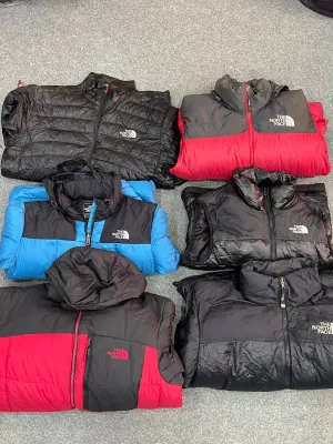 The northface puffer 700 nuptse&800