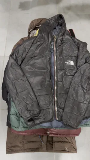 The northface puffer jackets (600,700,800)